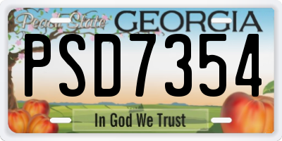 GA license plate PSD7354