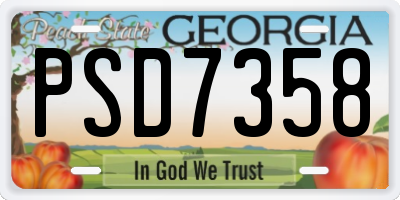 GA license plate PSD7358