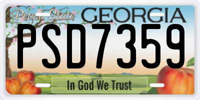 GA license plate PSD7359