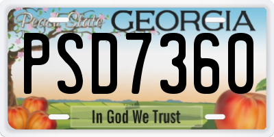GA license plate PSD7360