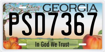 GA license plate PSD7367
