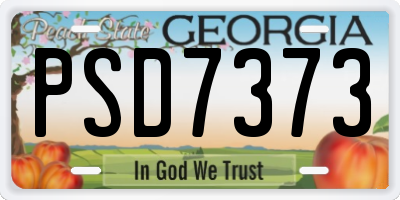 GA license plate PSD7373