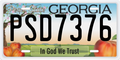 GA license plate PSD7376