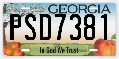 GA license plate PSD7381