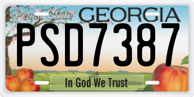 GA license plate PSD7387
