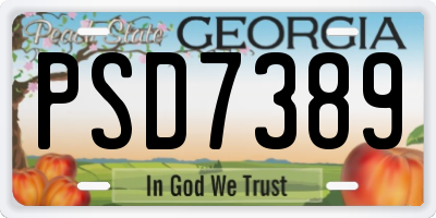 GA license plate PSD7389