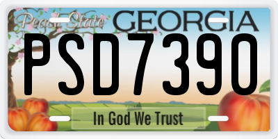 GA license plate PSD7390