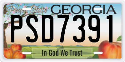GA license plate PSD7391