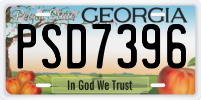 GA license plate PSD7396