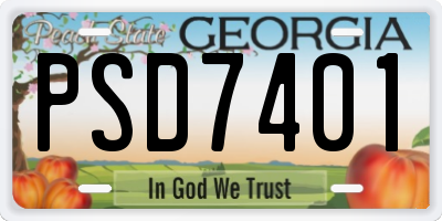 GA license plate PSD7401