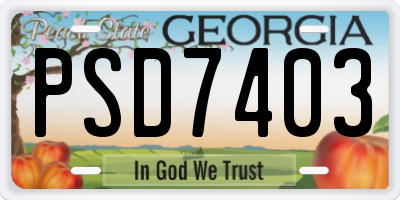 GA license plate PSD7403