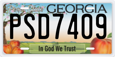 GA license plate PSD7409