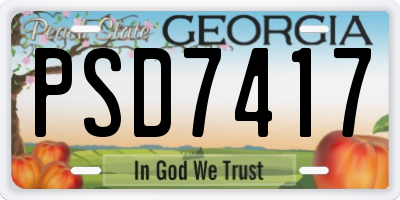 GA license plate PSD7417
