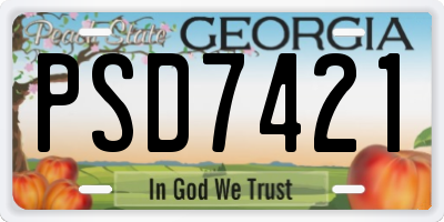 GA license plate PSD7421