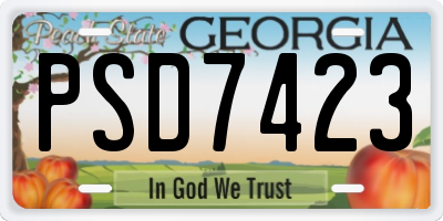 GA license plate PSD7423