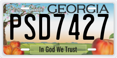 GA license plate PSD7427