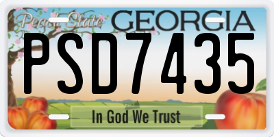 GA license plate PSD7435