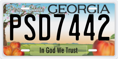 GA license plate PSD7442