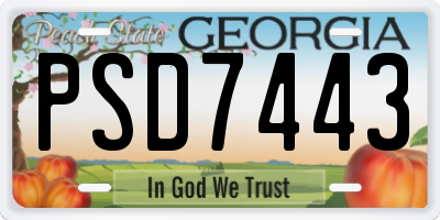 GA license plate PSD7443