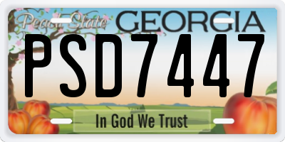 GA license plate PSD7447