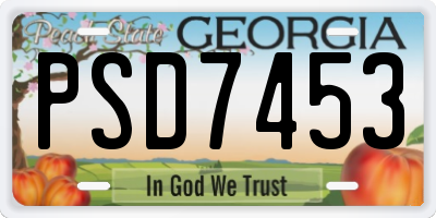 GA license plate PSD7453