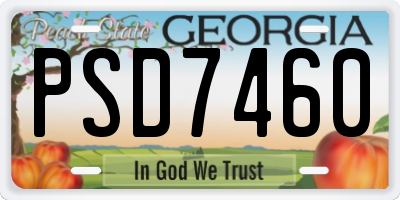 GA license plate PSD7460