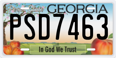 GA license plate PSD7463