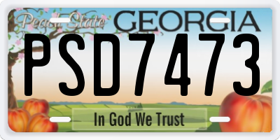 GA license plate PSD7473