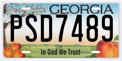 GA license plate PSD7489