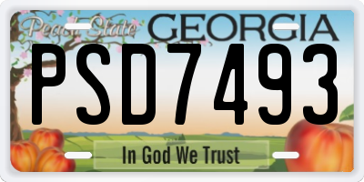 GA license plate PSD7493