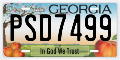 GA license plate PSD7499