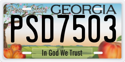 GA license plate PSD7503