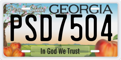 GA license plate PSD7504