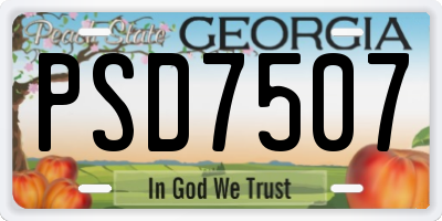 GA license plate PSD7507