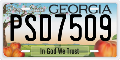GA license plate PSD7509