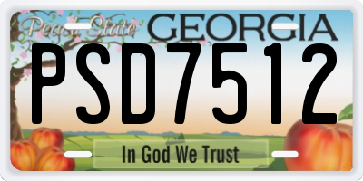 GA license plate PSD7512
