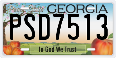 GA license plate PSD7513