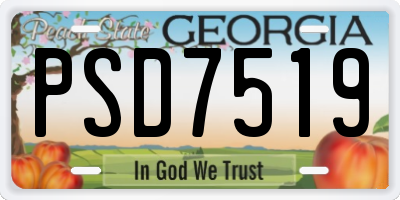 GA license plate PSD7519