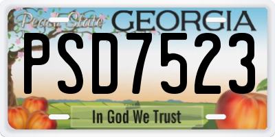 GA license plate PSD7523