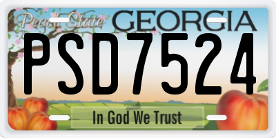 GA license plate PSD7524