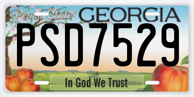 GA license plate PSD7529