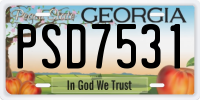 GA license plate PSD7531