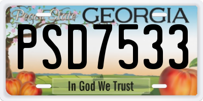 GA license plate PSD7533