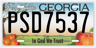 GA license plate PSD7537