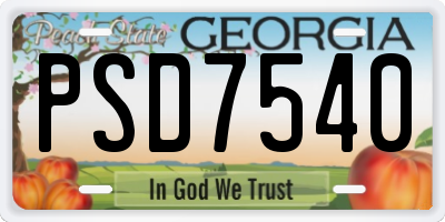GA license plate PSD7540