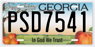 GA license plate PSD7541