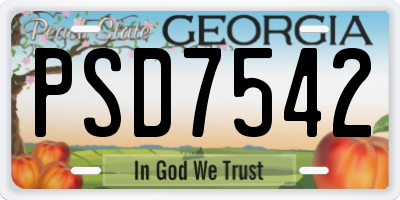 GA license plate PSD7542
