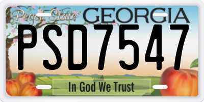 GA license plate PSD7547