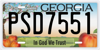 GA license plate PSD7551