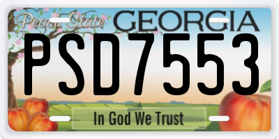 GA license plate PSD7553